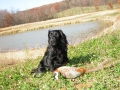 Crickette w Pheasant